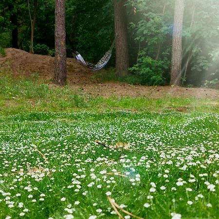 Forrest Style Pokoje Goscinne Варшава Экстерьер фото