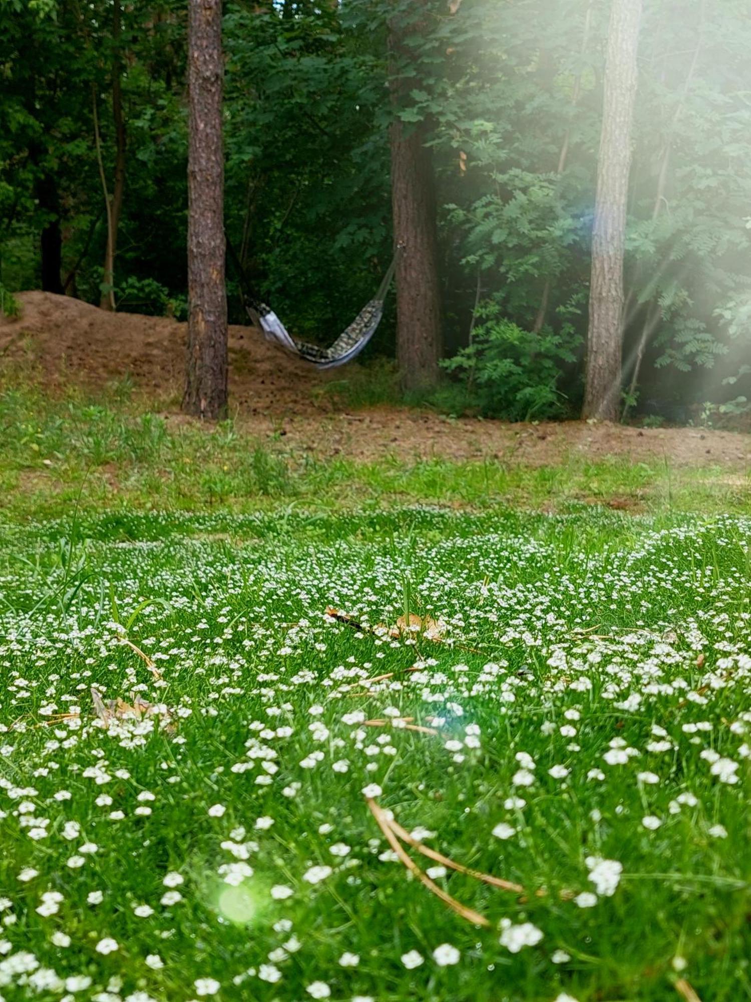 Forrest Style Pokoje Goscinne Варшава Экстерьер фото